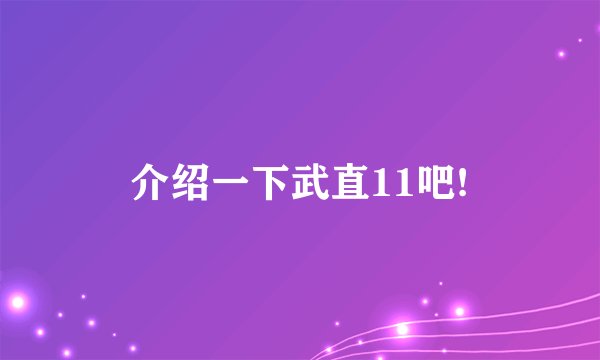 介绍一下武直11吧!