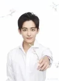 丁嘉文在电视剧《鬼吹灯之黄皮子坟》中的表现如何？