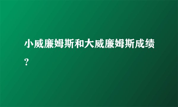 小威廉姆斯和大威廉姆斯成绩？