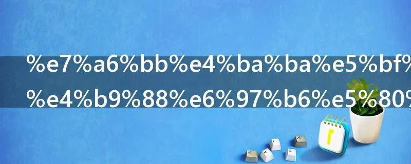 离人心上什么时候播