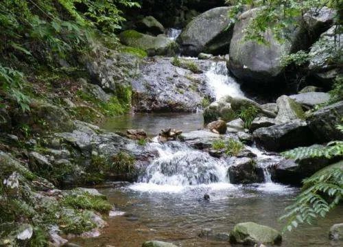 《右溪记》的全文及翻译