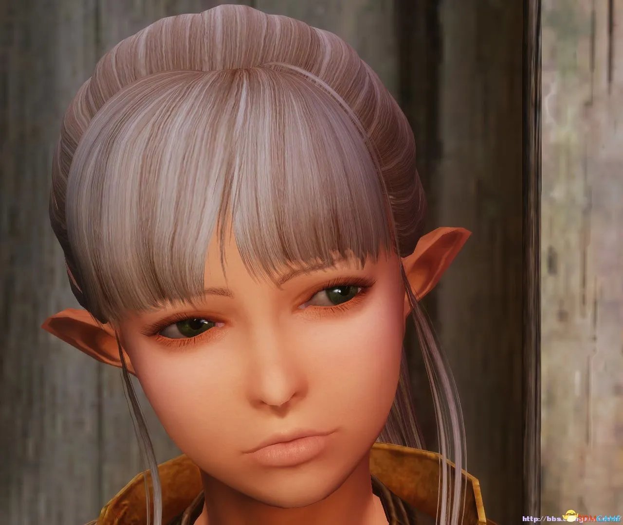 上古卷轴5 全天际美女计划 NPC美化 独孤城系列完毕