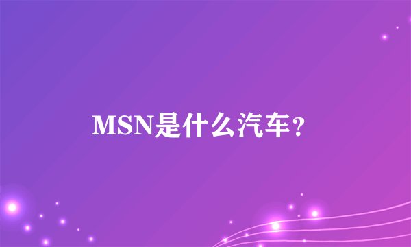 MSN是什么汽车？