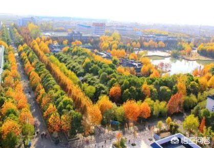 武汉生物工程学院是不是很垃圾