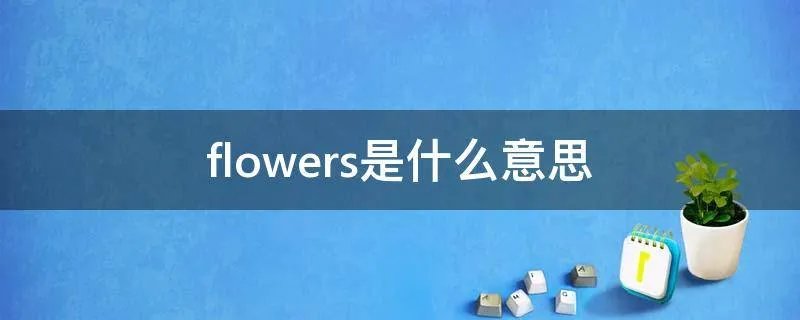 flowers是什么意思