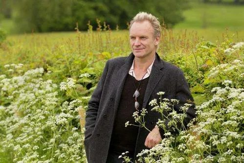 这个杀手不太冷片尾曲叫什么名字