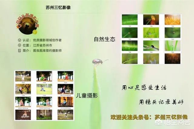 阴雨天如何拍出好照片?