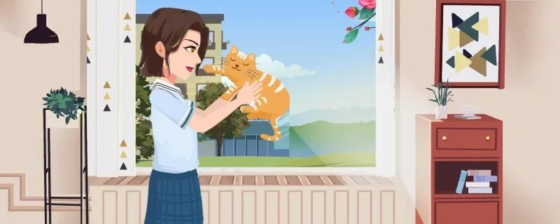 宠物猫的品种大全