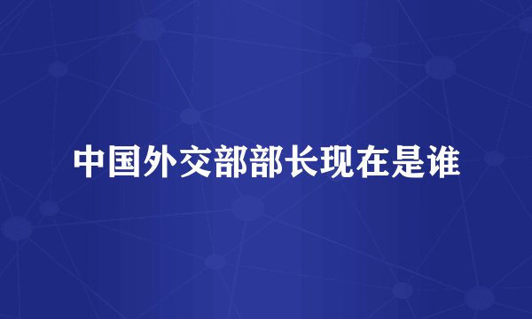 中国外交部部长现在是谁