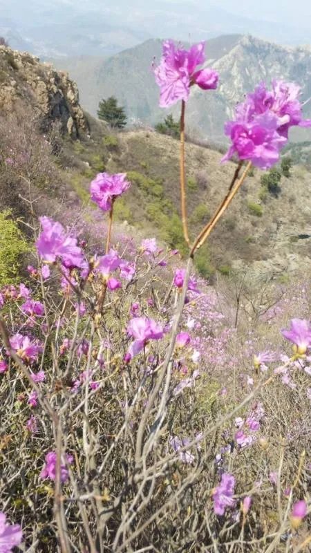 4000元的半年利息428.86属于高利贷吗？