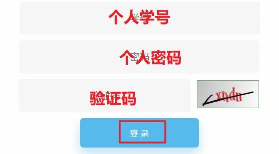四川大学教务系统密码