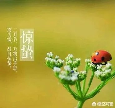 惊蛰是什么意思?