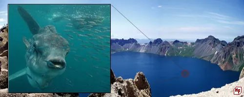 世界十大灵异事件排行榜：长白山天池水怪之谜