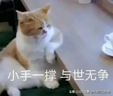 伊朗空难会不会是未遂的“9·11事件”？