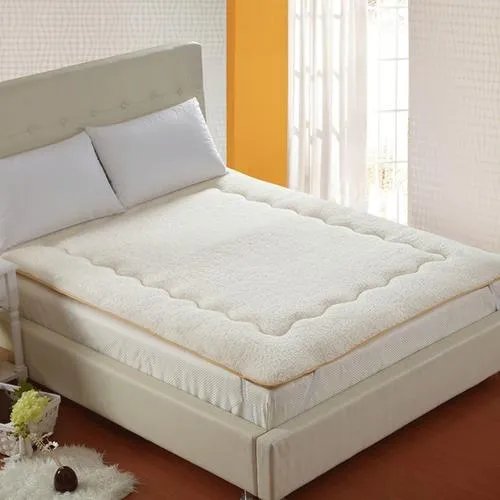 棕榈床垫和椰棕床垫有什么区别