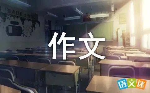 偶然的发现作文