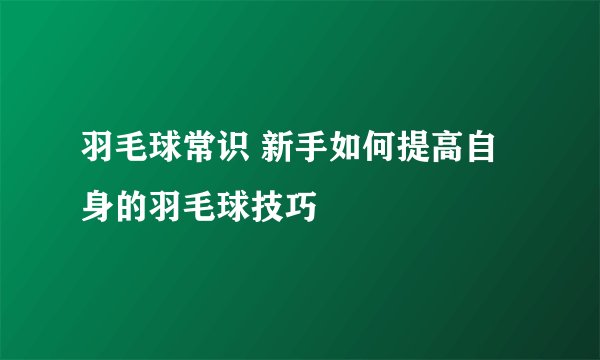 羽毛球常识 新手如何提高自身的羽毛球技巧