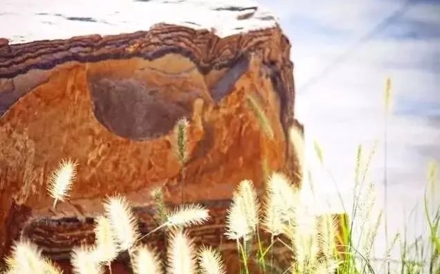 庭院里的这一方石头，历经千年，大有讲究