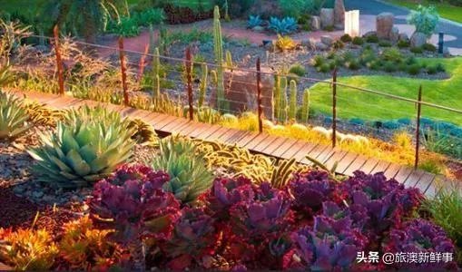 澳大利亚墨尔本简介?