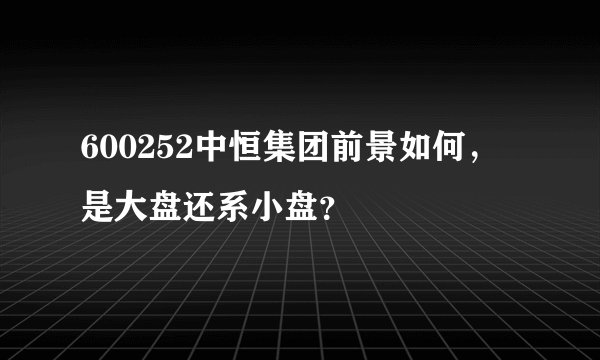 600252中恒集团前景如何，是大盘还系小盘？