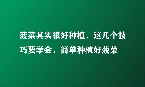 菠菜其实很好种植，这几个技巧要学会，简单种植好菠菜