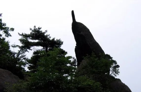 黄山奇石课后的三幅图是什么