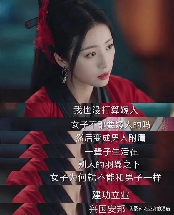 张新龙演的电视剧?