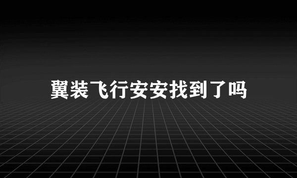 翼装飞行安安找到了吗