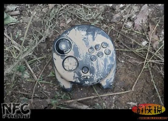 百年洪水来袭 澳洲玩家藏品惨遭洪水蹂躏(图)