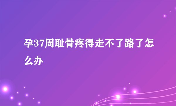 孕37周耻骨疼得走不了路了怎么办