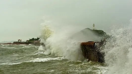 台风蔷薇生成，台风的名字到底是怎么起的？