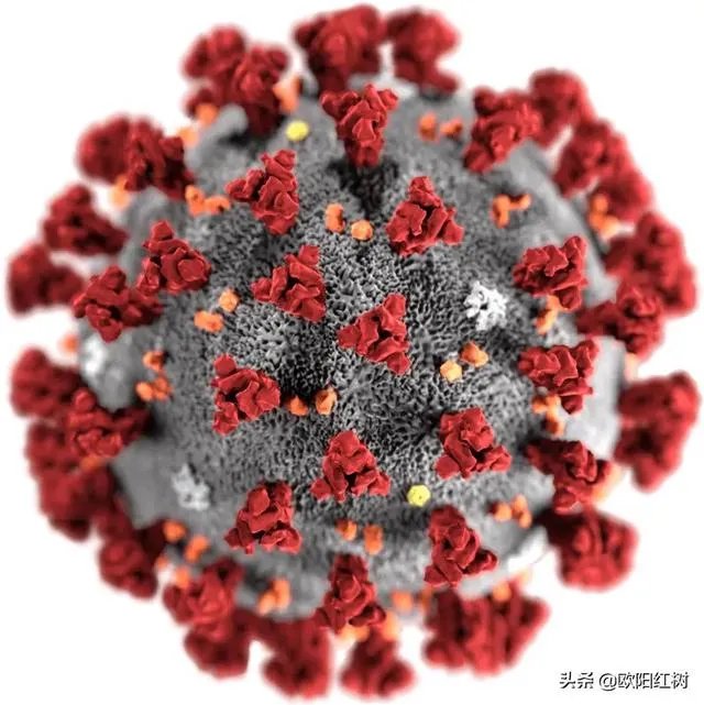 截止二月十一日的时候,当时青海省的疫情好转了吗,你怎么看?