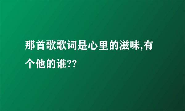 那首歌歌词是心里的滋味,有个他的谁??