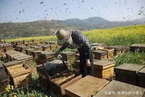 云南曲靖市有什么特产？