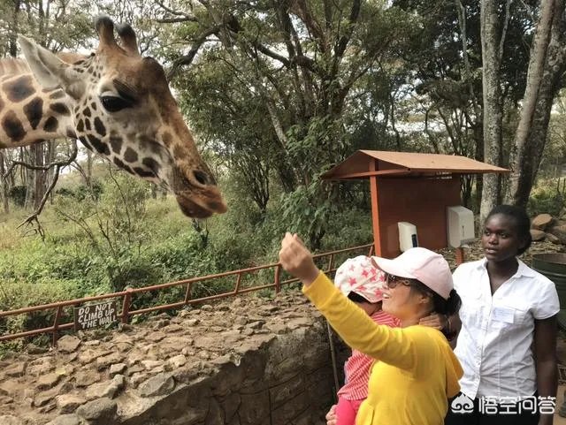 21世纪有哪些著名的旅行家？