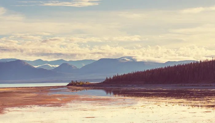 哈佛大学录取条件