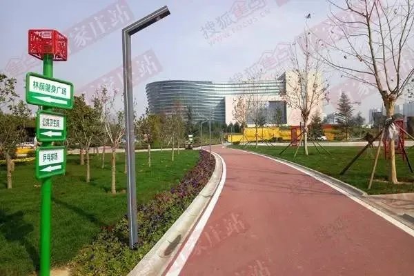 风景太美人已醉 石家庄体育公园开园 未来还有一大波。。。。。。