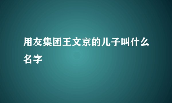 用友集团王文京的儿子叫什么名字