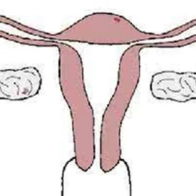 阴唇黑怎么回事?