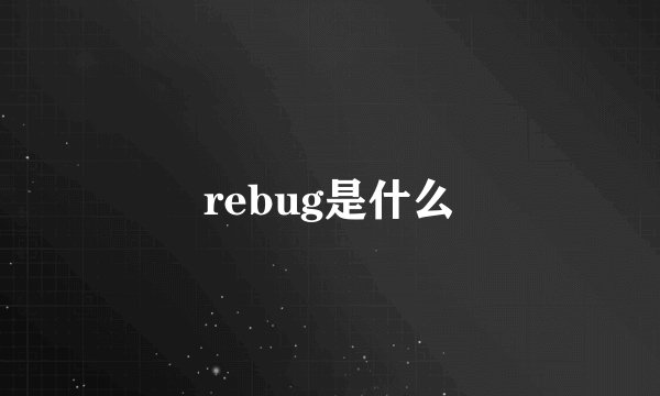 rebug是什么