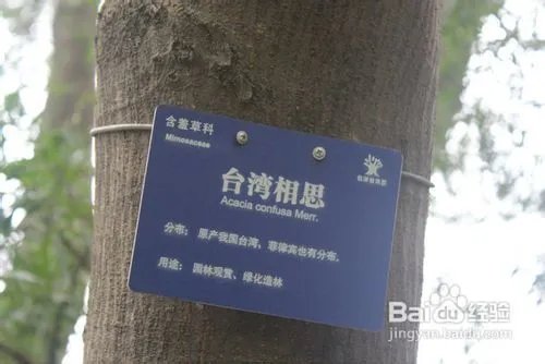 深圳仙湖植物园旅游攻略