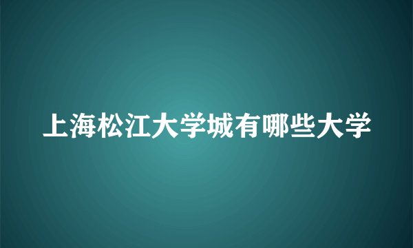 上海松江大学城有哪些大学