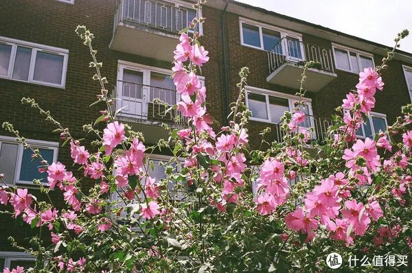 Contax G1 胶片相机:记录旅途的点点滴滴