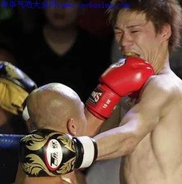 森孝太郎的日本本土赛事