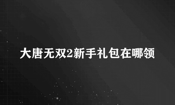 大唐无双2新手礼包在哪领