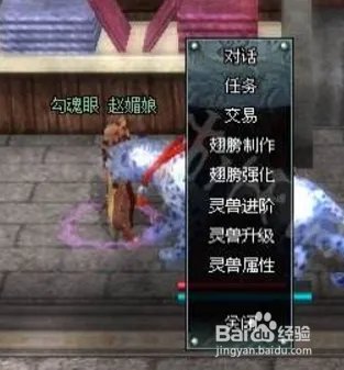 十二之天贰雪豹培养攻略