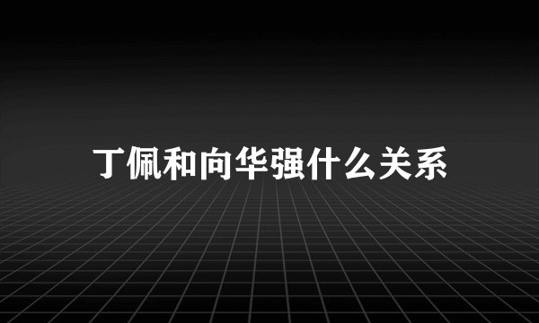 丁佩和向华强什么关系