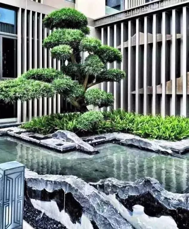 庭院里的这一方石头，历经千年，大有讲究