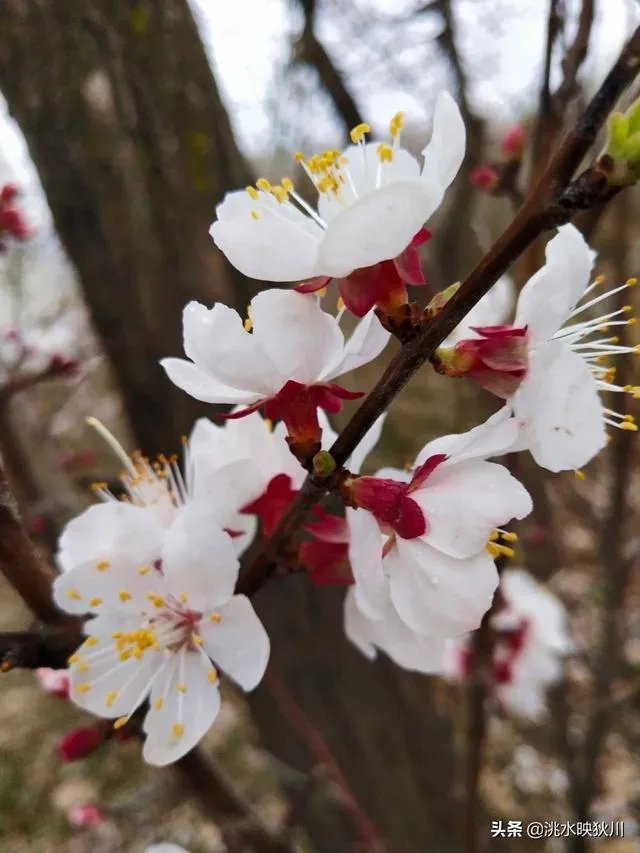 你们怎么看待疫情下的中高考?