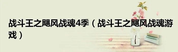 战斗王之飓风战魂4季（战斗王之飓风战魂游戏）